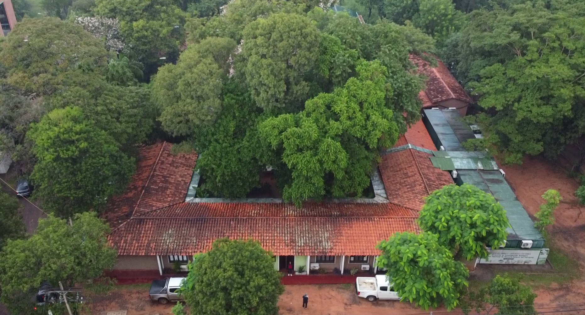 Aerial view of MNHNPY